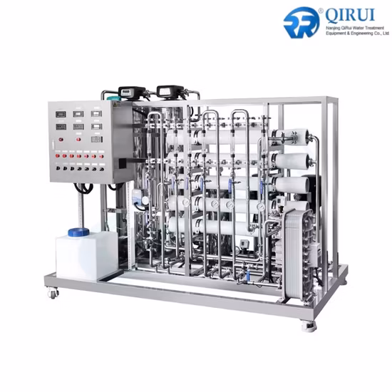 RO 水処理プラント 500 L/H 工業用浄水器逆浸透装置 EDI 超純水フィルター システム